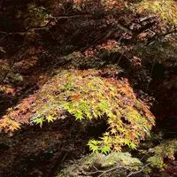 福岡市近郊ゆるーくの会