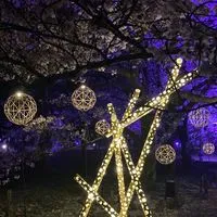 福岡市近郊ゆるーくの会