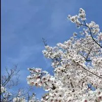 楽しいしりとり