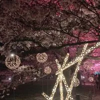 福岡市近郊ゆるーくの会
