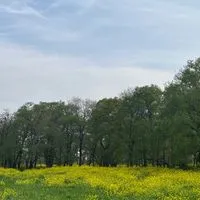 ○△□子ども食堂【お知らせ専用】
