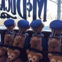 🐾大人のディズニー部屋🐾