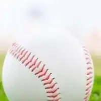 プロ野球好きな人集まれ☺️秋以降は好きなスポーツを語ろう