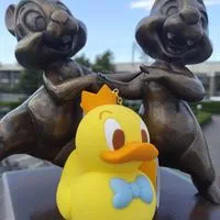 🐾大人のディズニー部屋🐾