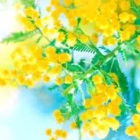 バツイチ🍀バツあり🍀私たちのNEW STORY【全国】