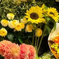 熟年ワケあり50代60代❌アリ💔傷アリさんいらっしゃ〜い