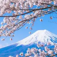 【中学受験】御三家受ける人and受かった人集合~！