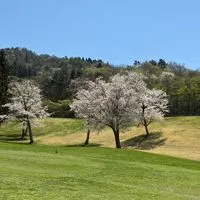 GOGOGOLF since2017 チャット