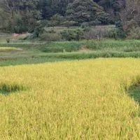 「楽歩の農業体験」ご案内 (長久手)