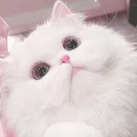 生活音投稿しちゃおー‼️🧏‍♀️💖