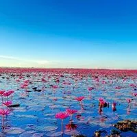 心が整う❤️罵詈雑言の世界