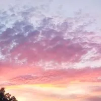 非結核性抗酸菌症をつぶやく部屋
