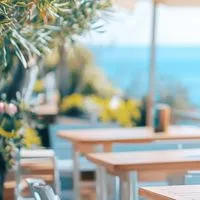 〘東海〙大人の陽だまりカフェ☕️🌿.•*愛知ꕤ岐阜ꕤ三重#40代50代60代
