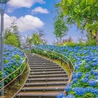 還暦〜笑顔になれる場所🪴