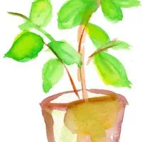 🌿日常の ひとりごと 部屋🌿