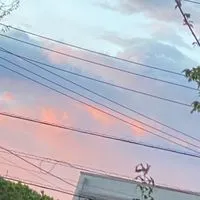 シャーク15