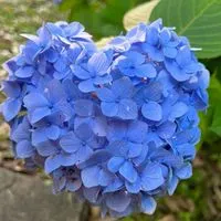 昭和世代の雑談部屋