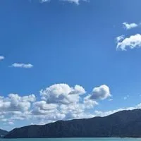 30代～皆でワイワイ🐬ルーム🐬東海地区