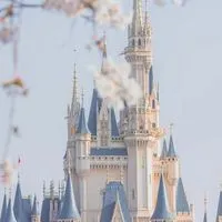 けーぽ好き集まれ〜.ᐟ .ᐟ