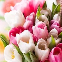 🌷30代🌷同世代のお部屋🌷アラサー🌷ライブトーク🌷楽しい雑談🌷素敵なオフ会🌷