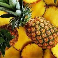 【🍍四国🏠中国🍍】30代40代50代🍍楽しい雑談🍍素敵なオフ会🍍