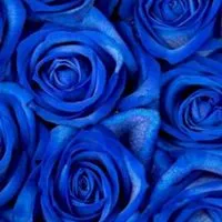 新規ஐ*°🍀全国雑談50代～60代の友達作り