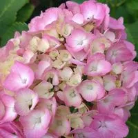 🩵💐介護する方の休憩STATION🌹💜
