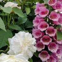 🩵💐介護する方の休憩STATION🌹💜