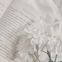 𝒎𝒚 𝒍𝒐𝒗𝒆 芸能人と楽しく恋しよ ？