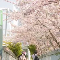 🏠札幌【賃貸】相談所✨