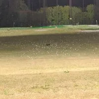 千葉茨城でたまにゴルフコンペやったり部屋
