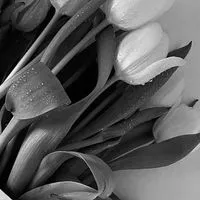 𝒎𝒚 𝒍𝒐𝒗𝒆 芸能人と楽しく恋しよ ？