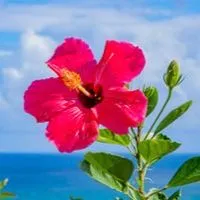 🌺50代R∞M🌺アラフィフ🌺同年代🌺ライブトーク🌺楽しい雑談🌺