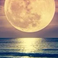 🌕 満月のフォーチュン🌙*·̩͙                50代.60代雑談room 恋バナも🤔？