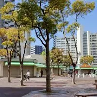 南砂住宅　ボランティア