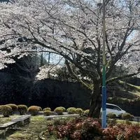 金丸電子回覧板