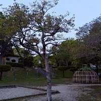 かすが台団地　自治会