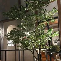50代60代同世代の友達作り神奈川　　　　　　　　　　　　　　　　　雑談　散策　ランチ部屋