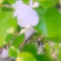 ネッ友が欲しいです……っ！！！
