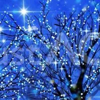 初心者🔰歓迎【40、50、60代】シン・東京、神奈川、埼玉、千葉街歩き、散策、飲食、昼飲み部屋