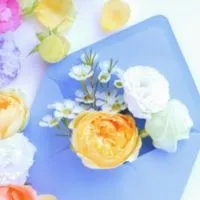 🔵精神疾患持ちの主婦1号館🔵　　　　　　天色の間