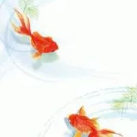 【ⓝⓔⓦ】🌈ゆっくりのんびりオトナの雑談🌈