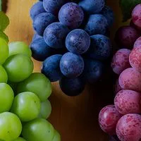 〖🍇九州🏠沖縄🍇〗30代40代50代🍇ライブトーク🍇楽しい雑談＆素敵なオフ会🍇