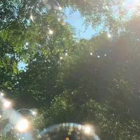 この夏、恋の予感