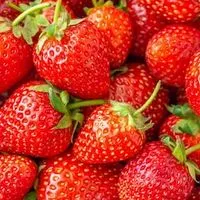 🍓一期一会🍓30代40代50代🍓楽しい雑談🍓ライブトーク🍓