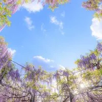 ✨️「心晴れやか大人時間」へようこそ✨️✨️【関東限定】Ｒ３０Ｒ４０Ｒ５０✨️