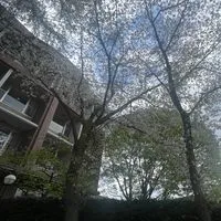 2025年度目白研心中学1年生保護者会