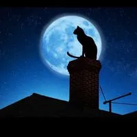 黒猫の館《歌オプ》