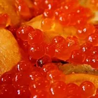 飯テロオプ