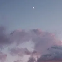 雑談なう